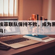 AYX SPORTS-埃菲联队保持不败，成为黑马！(我们犹如一匹黑马从入围杀到优胜)