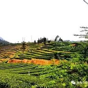 爱游戏平台-榆林华安遭遇困境，士气低迷待振作()