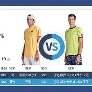 爱游戏-维罗纳帕尔马直播