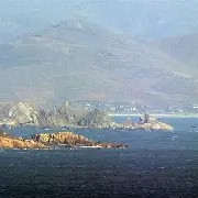 爱游戏娱乐-江苏苏宁险胜青岛黄海，河南建业战平河北中基(河南建业集团最新消息破产重整最新消息)