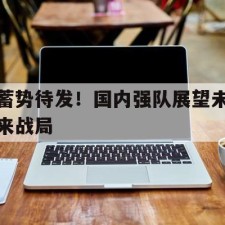 爱游戏官方网站-蓄势待发！国内强队展望未来战局()