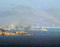 爱游戏娱乐-江苏苏宁险胜青岛黄海，河南建业战平河北中基(河南建业集团最新消息破产重整最新消息)  第1张