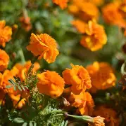 爱游戏娱乐-江苏苏宁险胜青岛黄海，河南建业战平河北中基(河南建业集团最新消息破产重整最新消息)  第2张