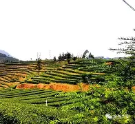 爱游戏平台-榆林华安遭遇困境，士气低迷待振作()  第1张