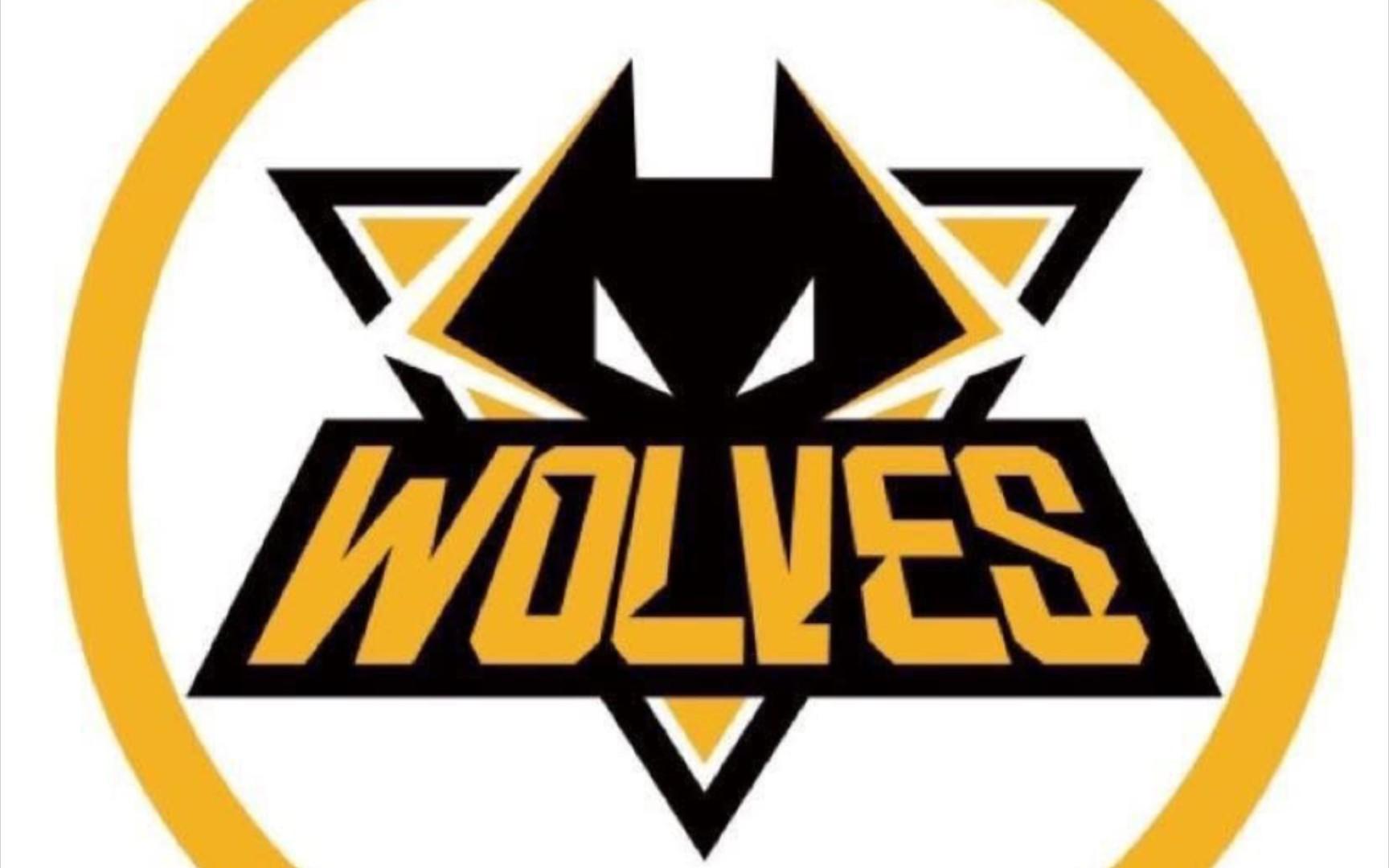 AYX SPORTS-狼队客场抢分立下功勋，球队士气高涨()  第2张